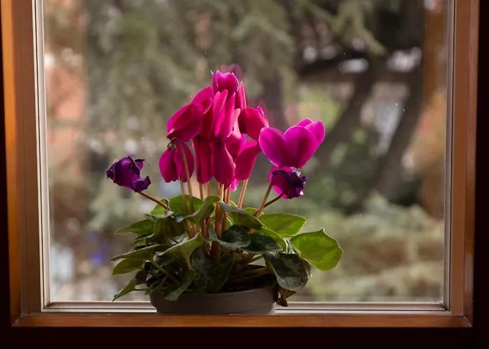 Casa Giuly Apartamento Parma